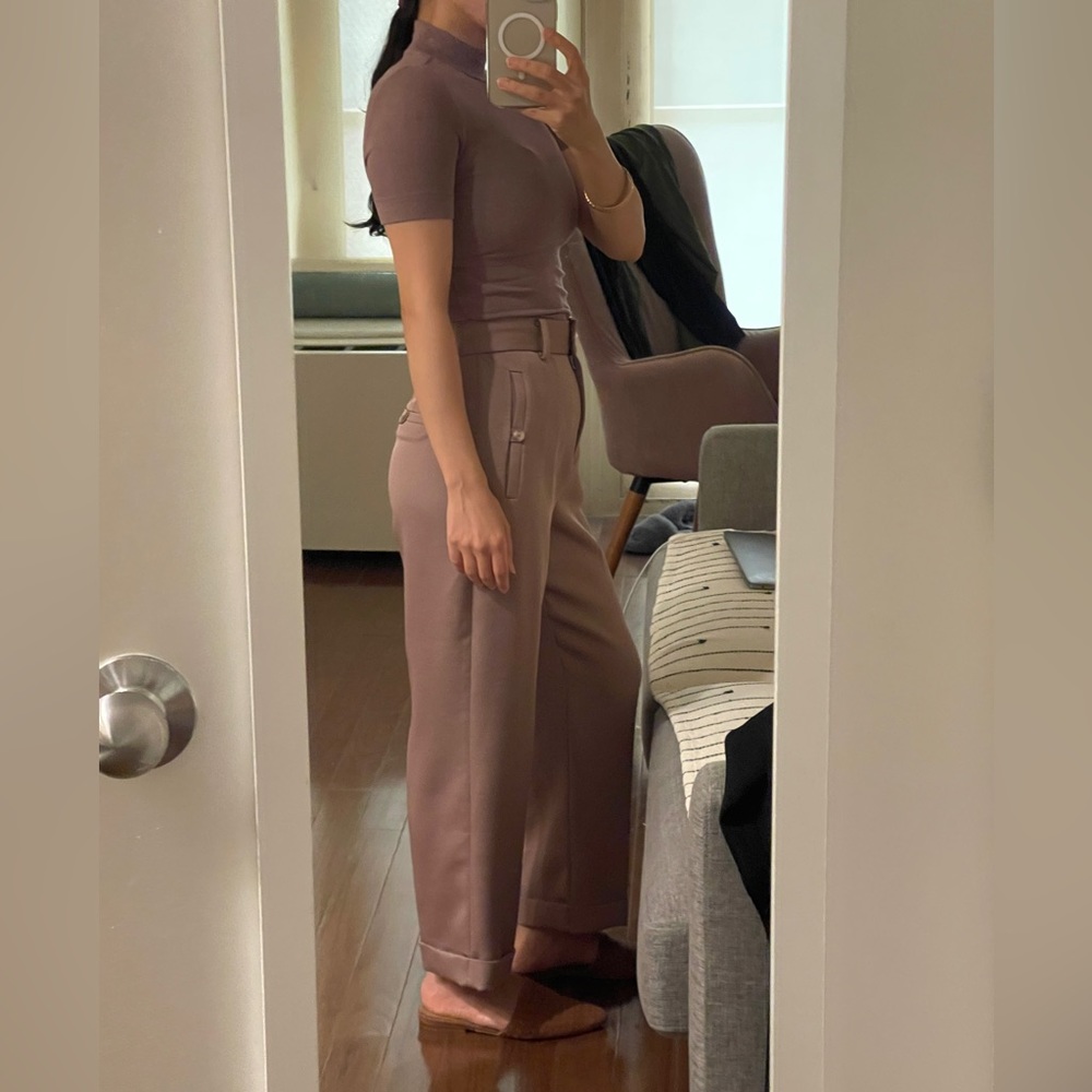 Aritzia Mauve-Taupe Wide-Leg Trousers